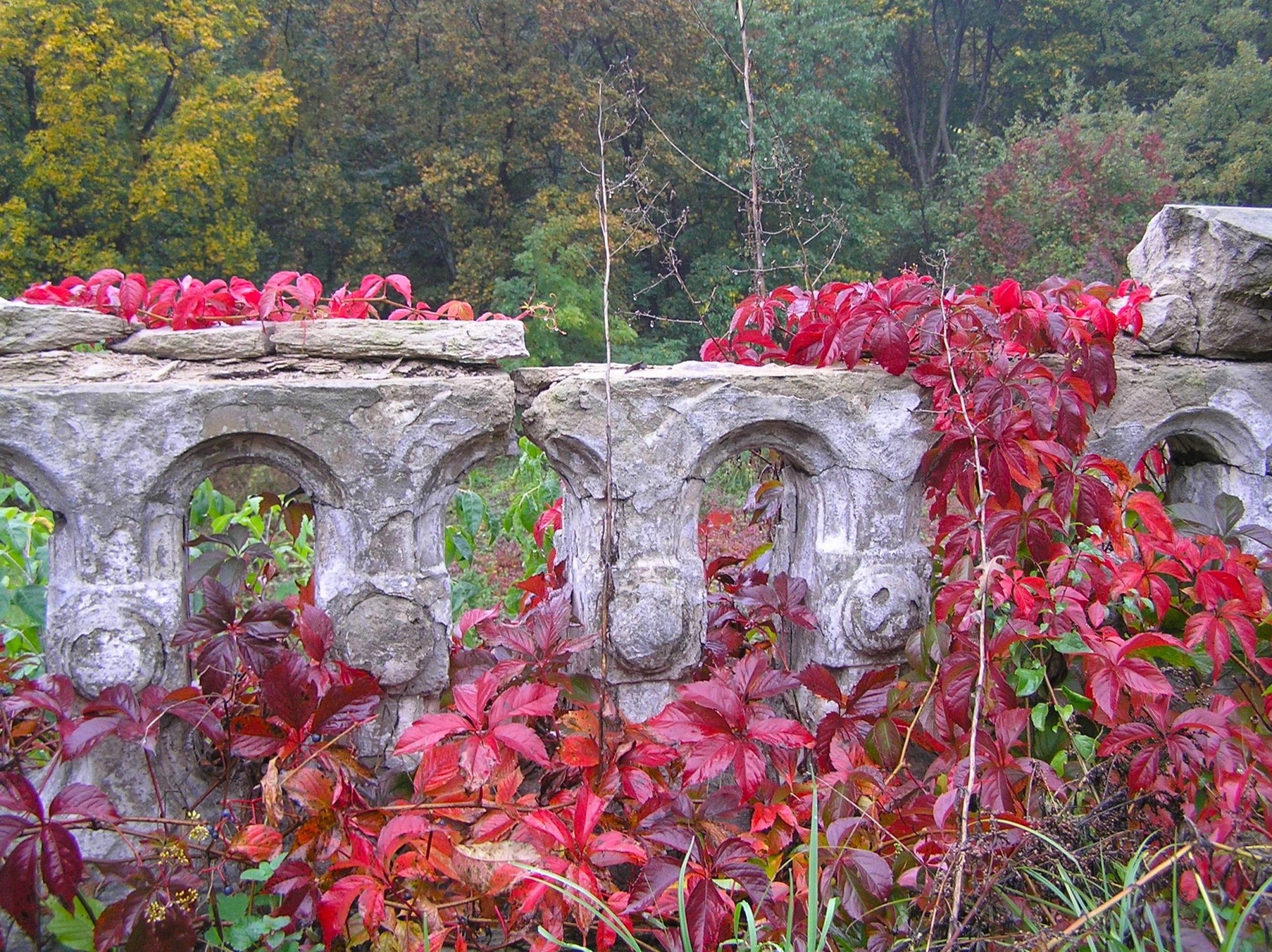 6е октября 2007 № 199